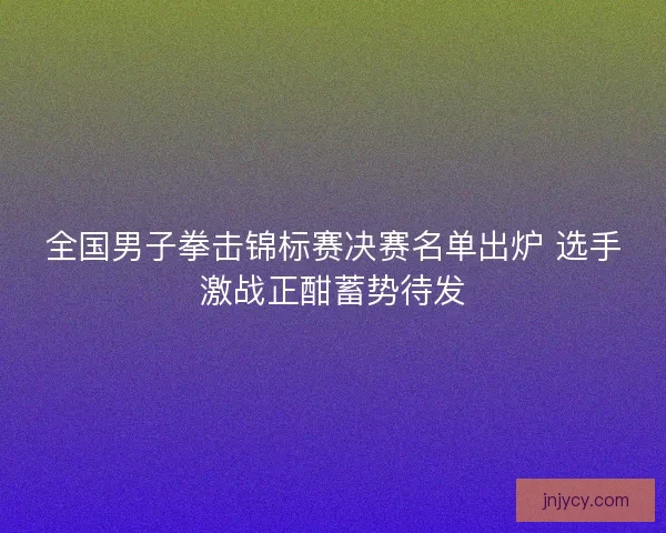 全国男子拳击锦标赛决赛名单出炉 选手激战正酣蓄势待发
